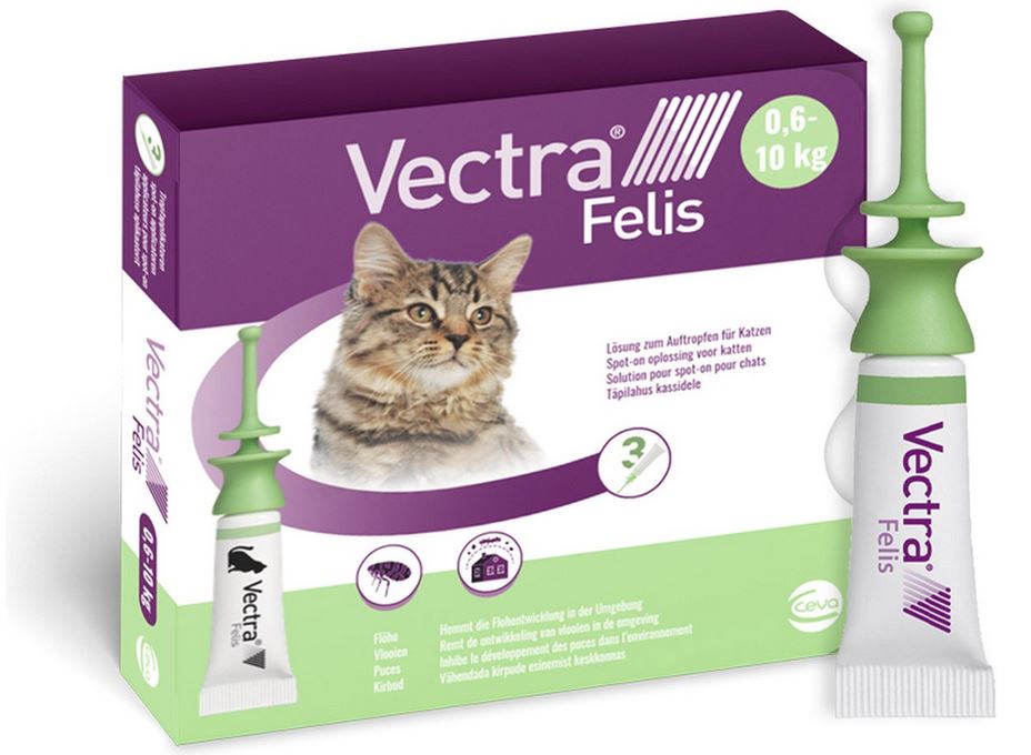 Vectra Felis kat